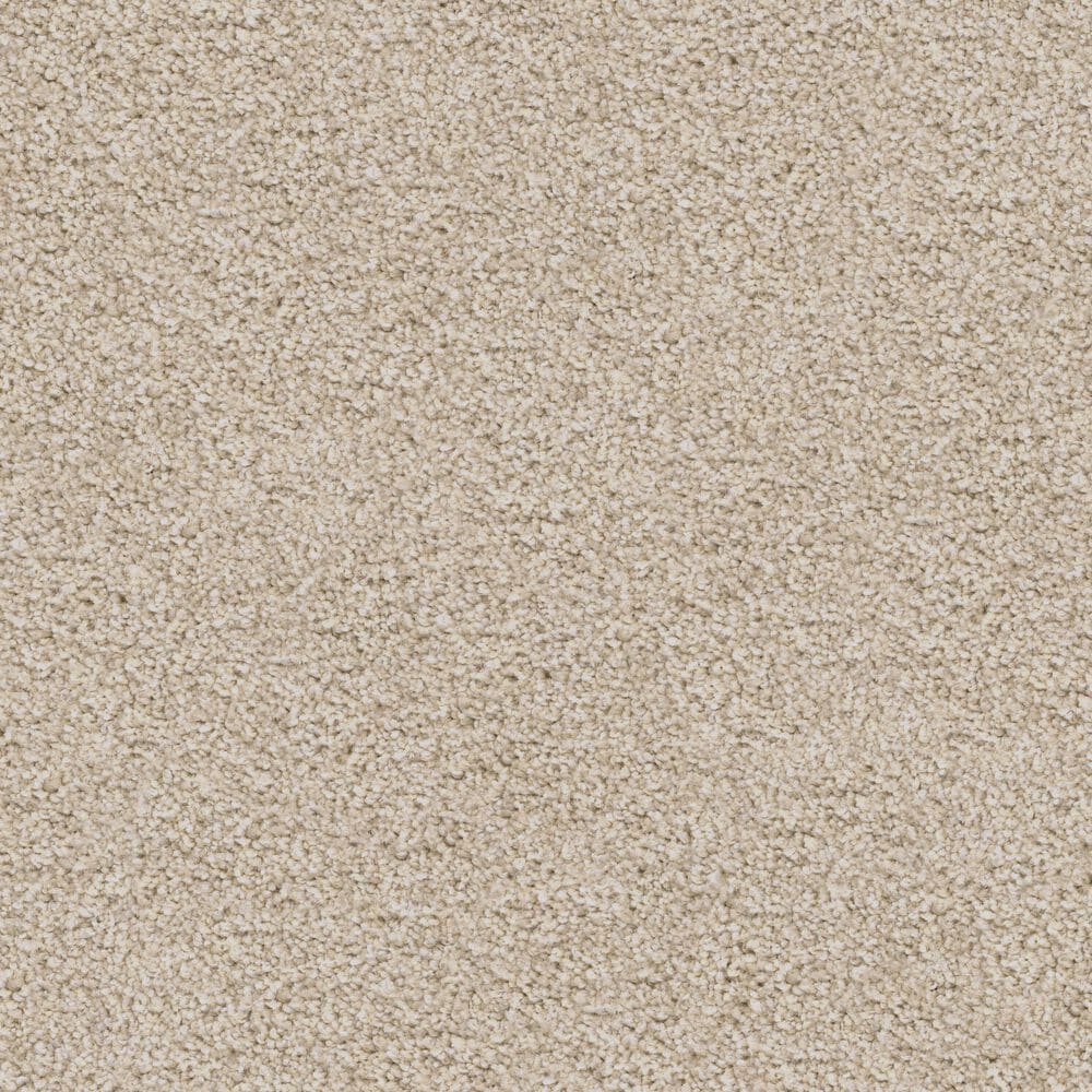 Dixie Home Guard Carpet in Bichon Frise, , large