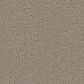 Phenix Emerson Carpet in Showcase, , large