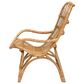 Baxton Studio Earvin Rattan Arm Chair in Natural Brown, , large
