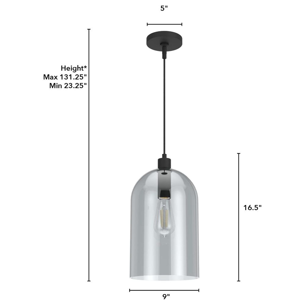 Hunter Lochmeade 1-Light Large Pendant in Natural Iron, , large