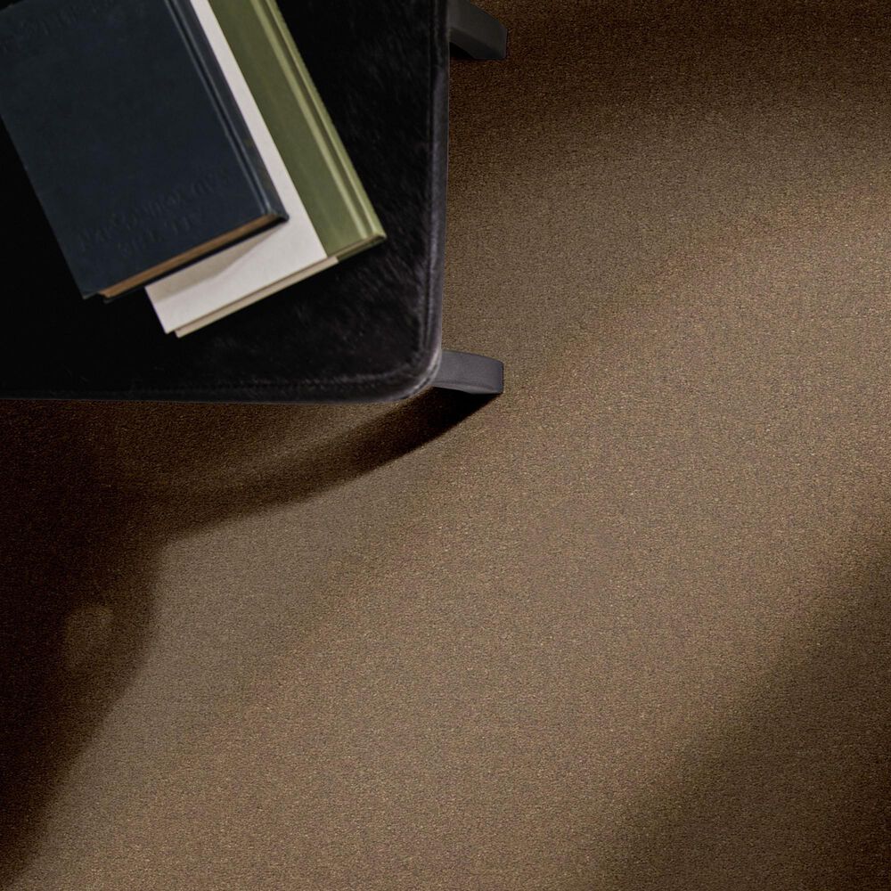 Anderson Tuftex Finery Carpet in Hawk, , large