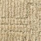 Anderson Tuftex Loredo Carpet in Antique, , large