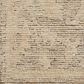Loloi Penny Coffee and Natural 8"6" x 11"6" Area Rug, , large