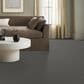 Anderson Tuftex Avalon Bay Carpet in Rock Bottom, , large