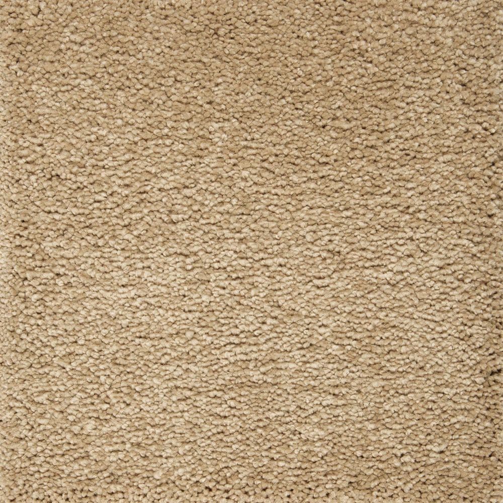 Mohawk Pleasant Touch Carpet in November Foliage, , large