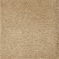 Mohawk Pleasant Touch Carpet in November Foliage, , large