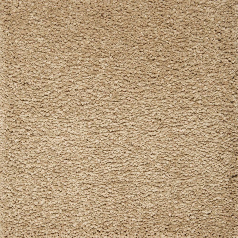 Mohawk Pleasant Touch Carpet in November Foliage, , large