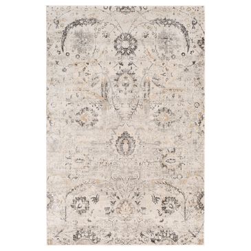 Surya Indigo IGO-2318 6"9" x 9" Gray, Beige and White Area Rug, , large