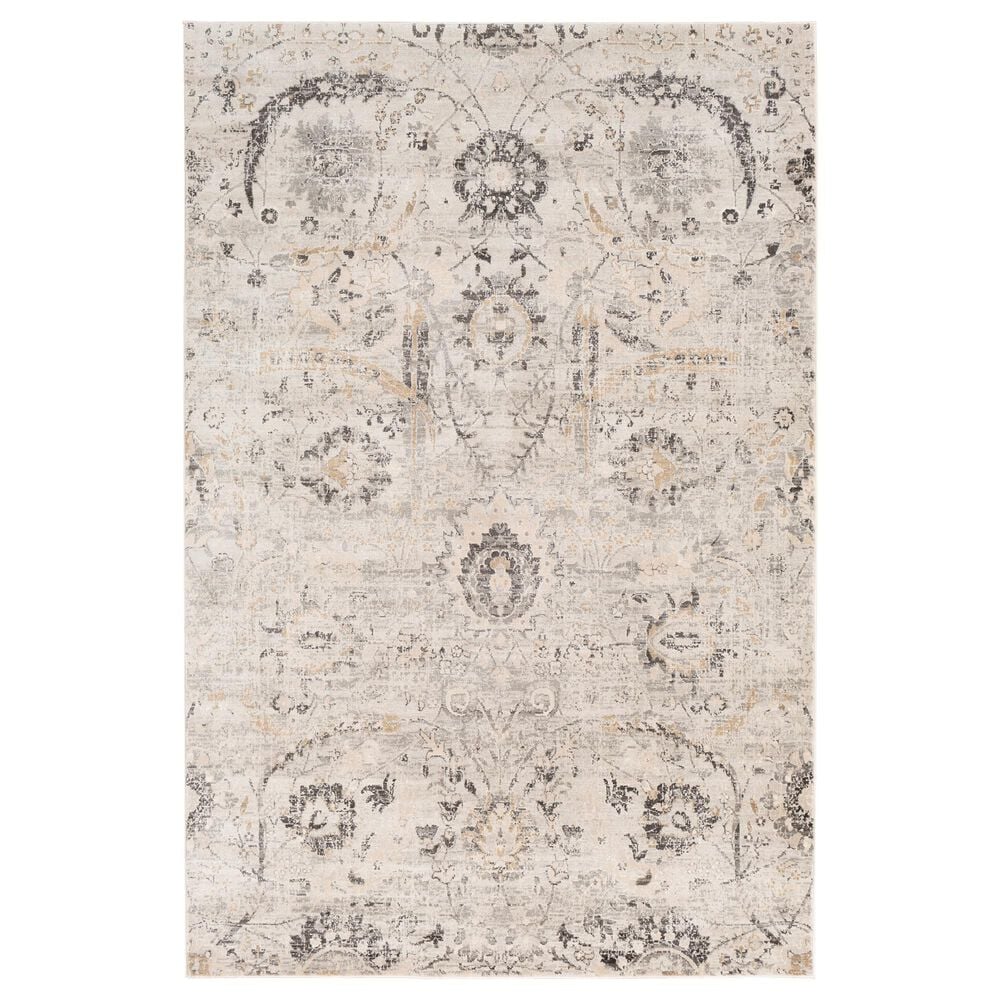 Surya Indigo IGO-2318 6"9" x 9" Gray, Beige and White Area Rug, , large