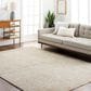 Surya Masterpiece MPC-2315 Medium Gray, Light Gray and Cream 10" x 13"11" Area Rug, , large