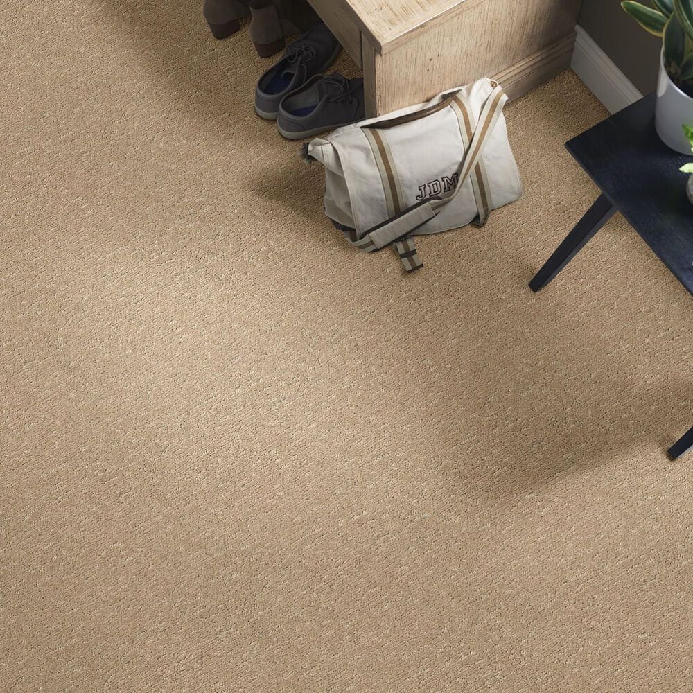 Anderson Tuftex Contour Carpet in Coronado, , large
