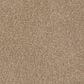 Shaw Tonal Comfort Ii Carpet in Falling Leaves, , large