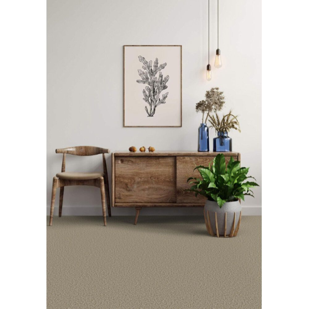 Dixie Home Main Force Carpet in Pebble, , large
