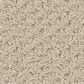 Shaw Austin Park Carpet in Sentimental, , large