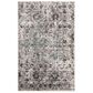 Safavieh Adirondack ADR135C 3" x 5" Grey and Black Area Rug, , large