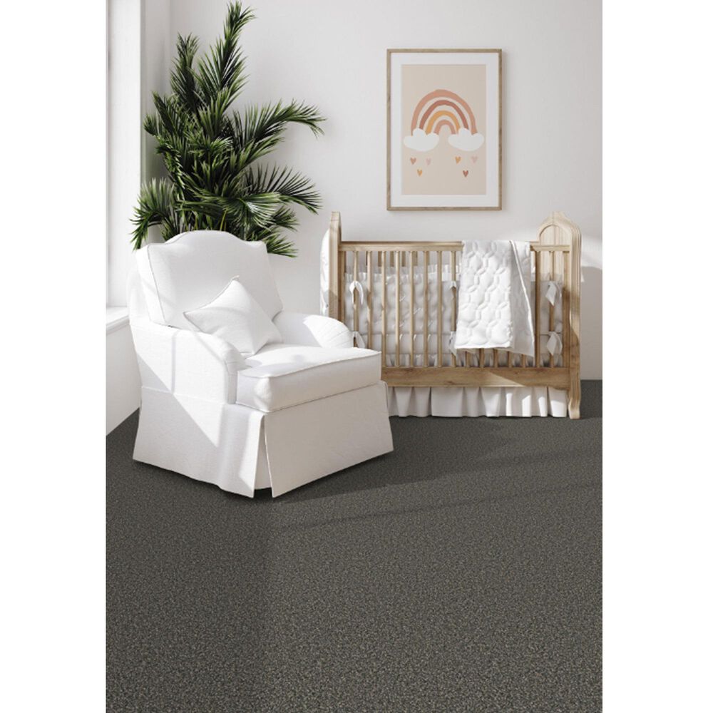 Dixie Home Outlast Carpet in Granite, , large