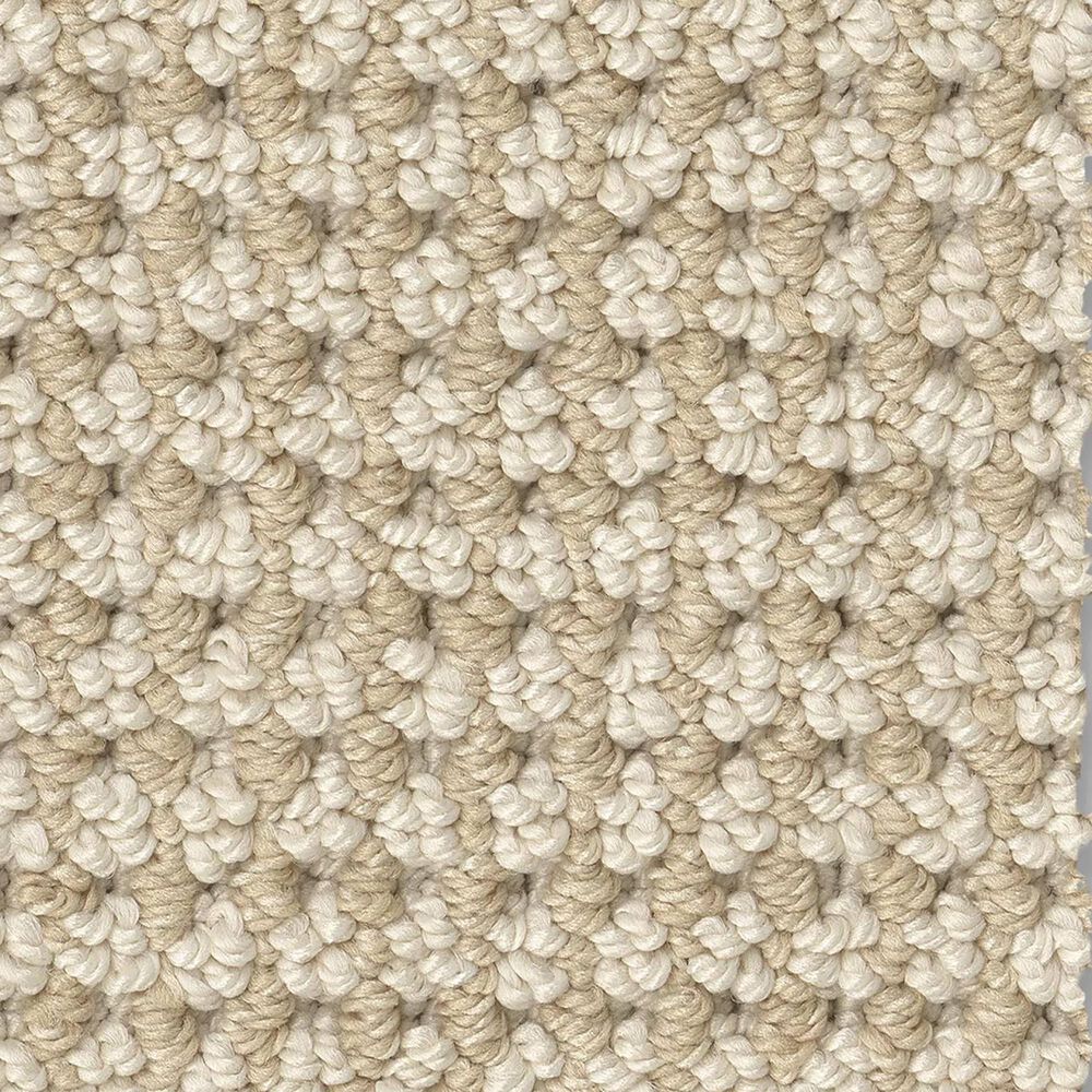 Anderson Tuftex Inspired Carpet in Basalt, , large