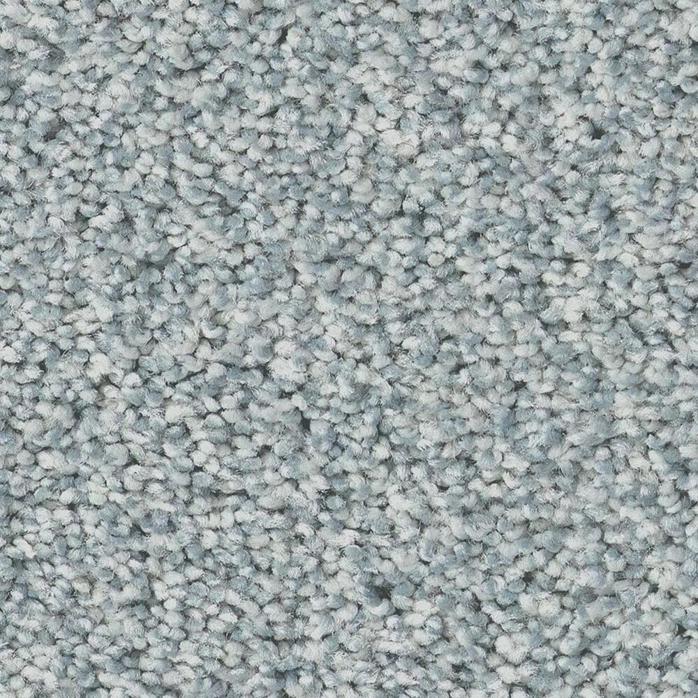 Anderson Tuftex Fabulous Carpet in Biscay, , large