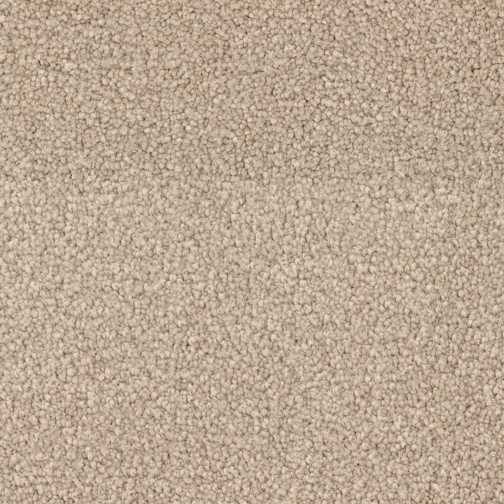 Dixie Home Big Splash Carpet in Sunrise, , large