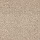 Dixie Home Big Splash Carpet in Sunrise, , large