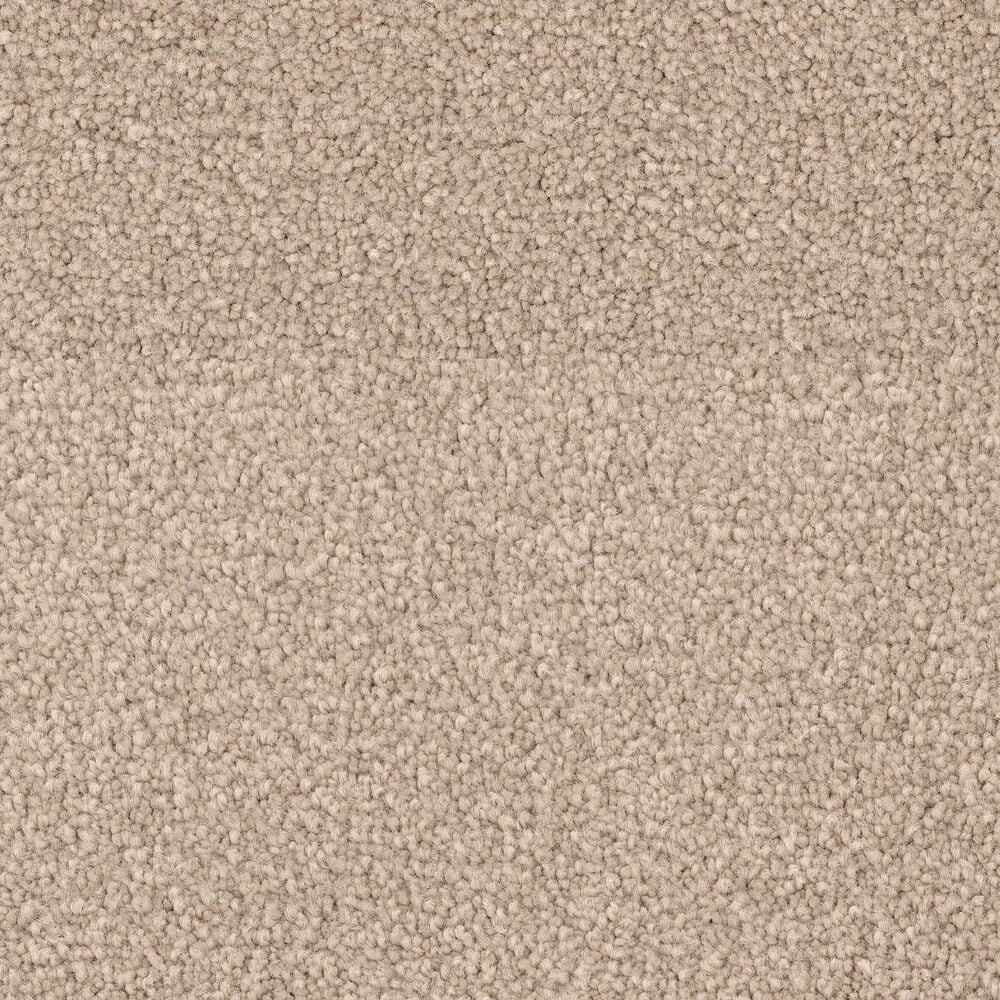 Dixie Home Big Splash Carpet in Sunrise, , large