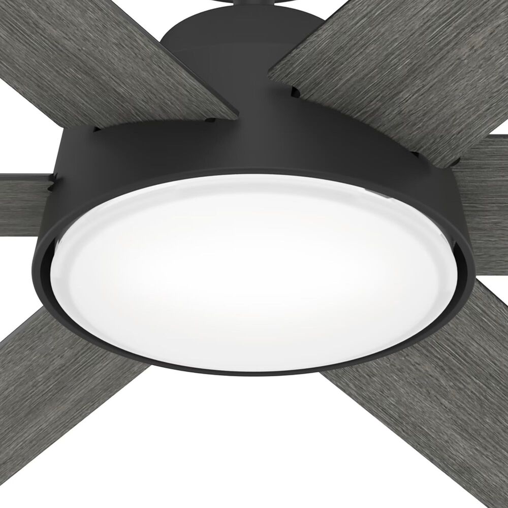 Hunter Donatella 52&quot; Ceiling Fan with LED Lights in Matte Black, , large