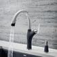 Blanco Artona Pull-Down Kitchen Faucet 1.5 GPM in PVD Steel and Anthracite, , large