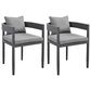 Blue River Argiope Outdoor Dining Chair in Dark Gray (Set of 2), , large
