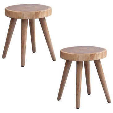 Hampton Park Arcadia Dining Stool in Natural (Set of 2), , large