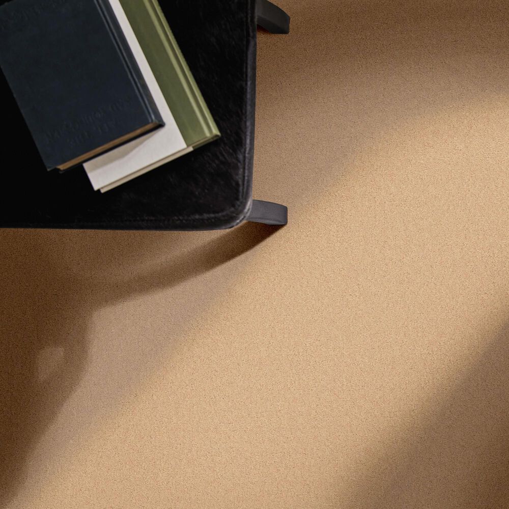 Anderson Tuftex Finery Carpet in Baked Beige, , large