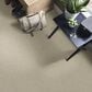 Shaw Detailed Elegance I Carpet in French Linen, , large
