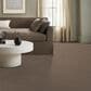 Anderson Tuftex Sneak Peek Carpet in Caffeine, , large