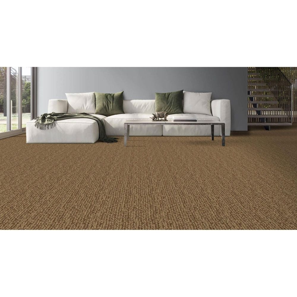 Masland Mesa Verde Carpet in Valley Forge, , large
