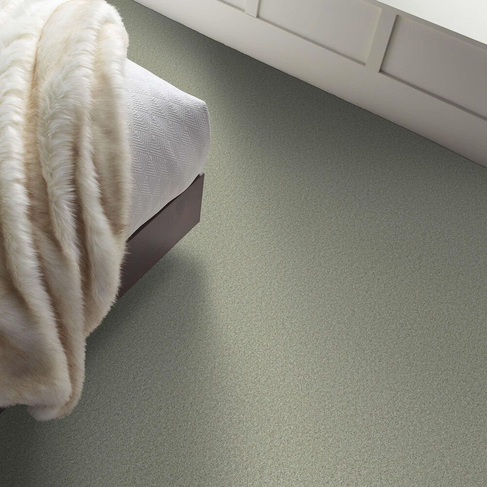 Shaw Tonal Comfort II Carpet in Willow Tree, , large