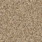 Anderson Tuftex Fabulous Carpet in Golden, , large