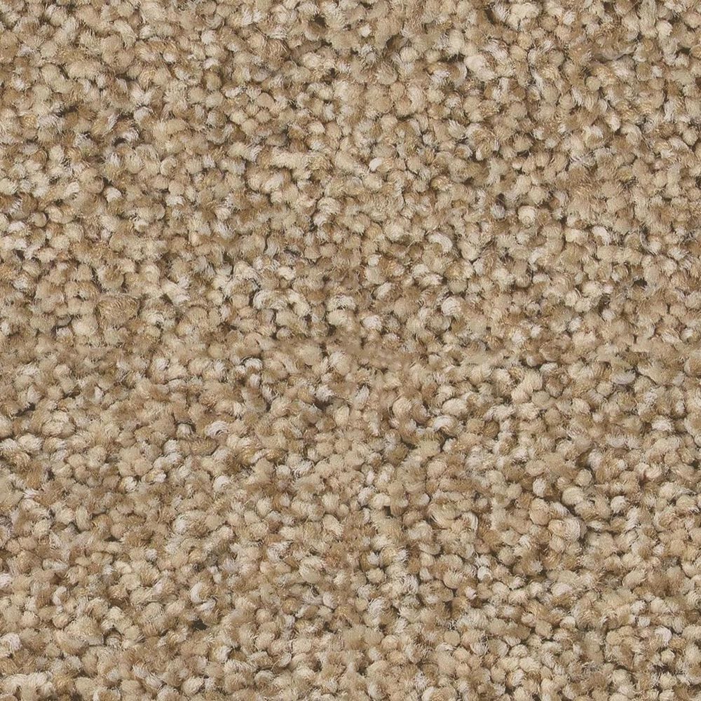Anderson Tuftex Fabulous Carpet in Golden, , large
