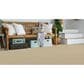 Masland Festivities Carpet in Chardonnay, , large