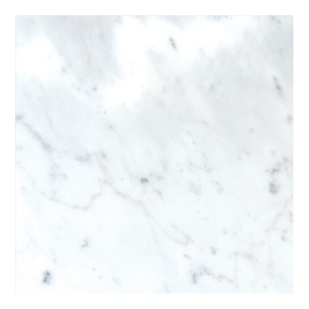 MS International Carrara White 12" x 12" Natural Stone Tile, , large