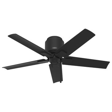Hunter Terrace 44" Outdoor Ceiling Fan in Matte Black, , large