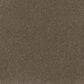 Dream Weaver Serene II Carpet in Shellbark, , large