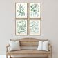 Paragon 25" x 19" Assemblage Wall Art Set in Green (Set of 4), , large