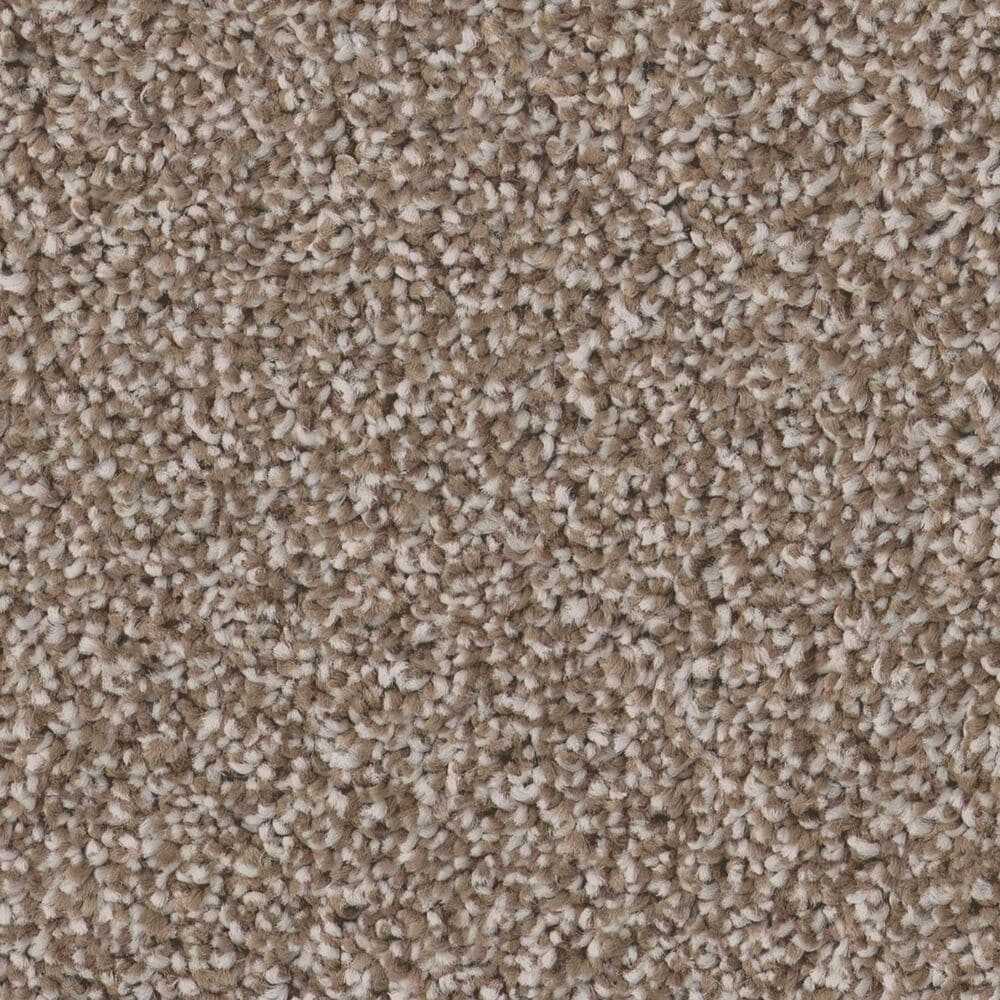 Shaw Pure Affection T Carpet in Mocha, , large