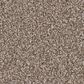 Shaw Pure Affection T Carpet in Mocha, , large