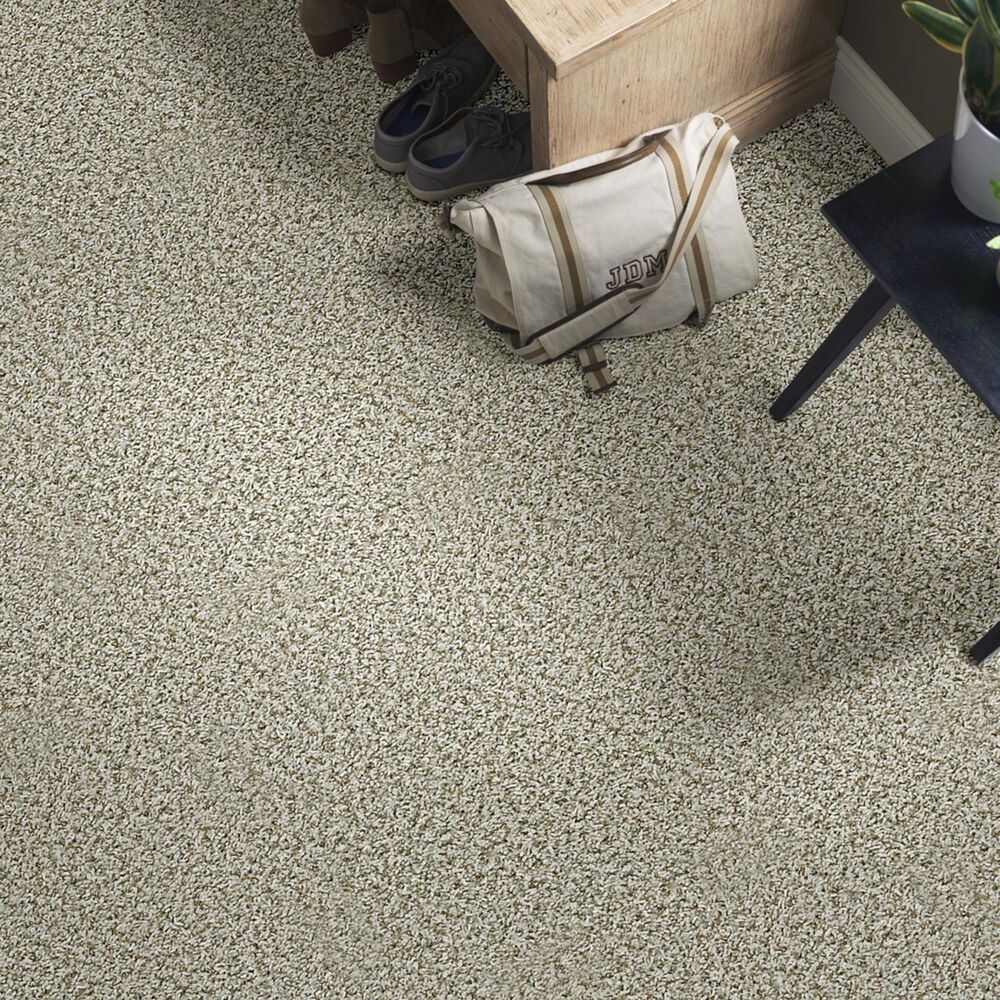 Shaw Break Away Tonal Carpet in Stepping Stone, , large