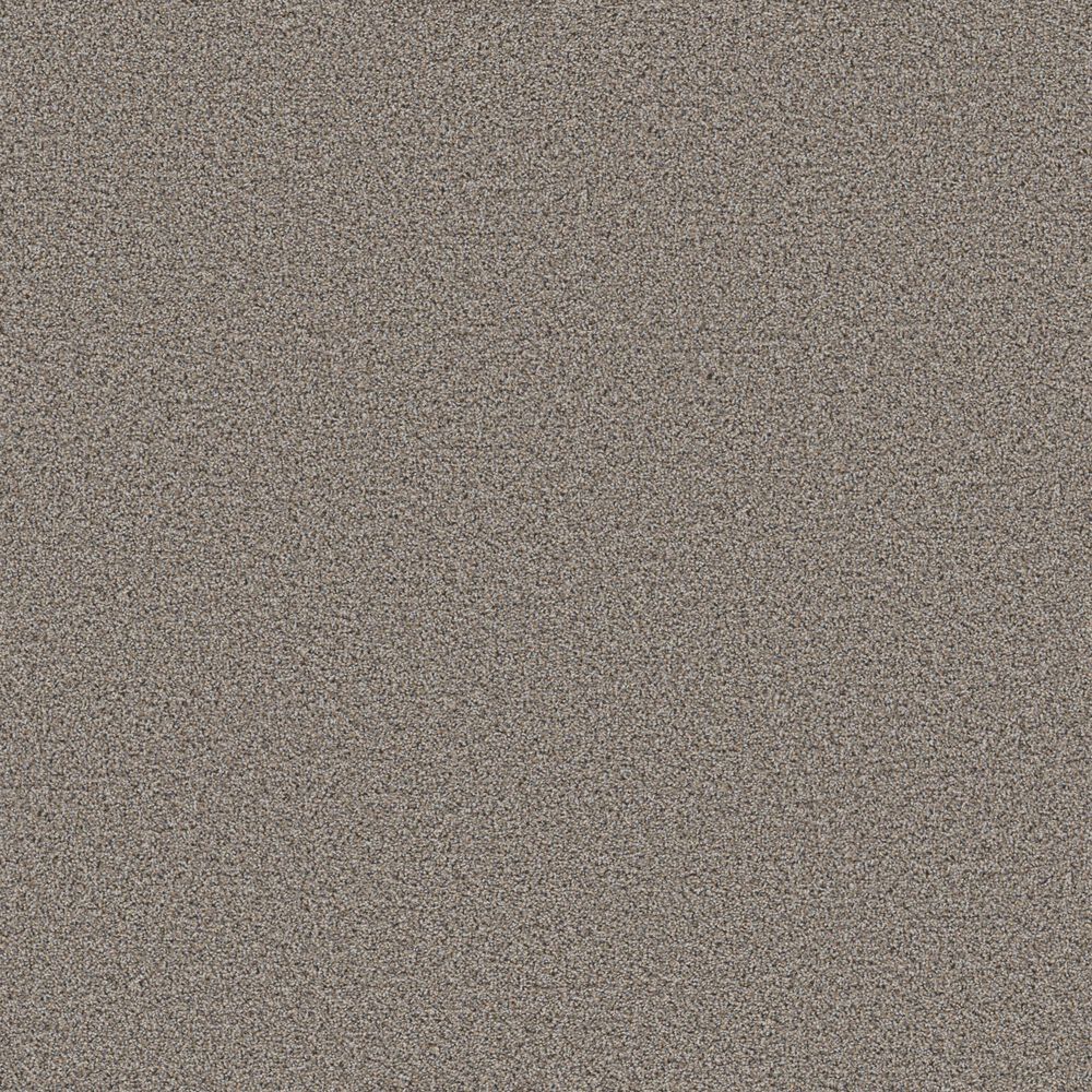 Shaw Ramped Up Carpet In Ridgeview, , large
