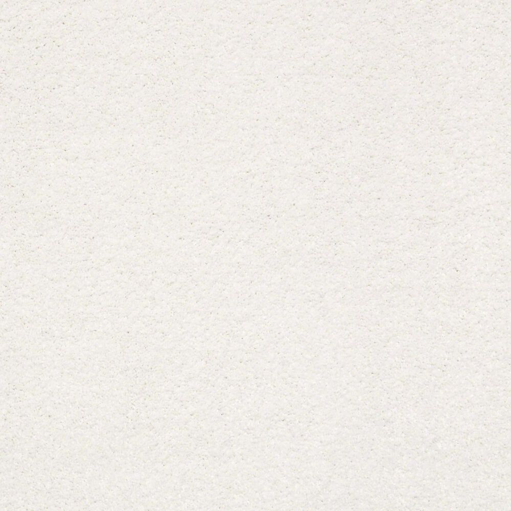 Philadelphia Basic Rules Carpet in Super Fine, , large