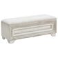 Chapel Hill Camila Storage Bed Bench in Camila White, , large