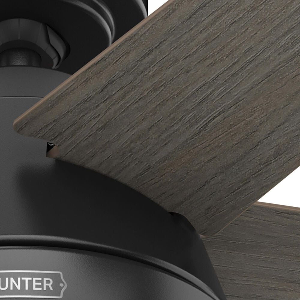 Hunter Burroughs 44&quot; Ceiling Fan with LED Lights in Matte Black, , large