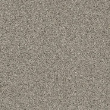 Dream Weaver Natural Wonder II Carpet in Silken, , large