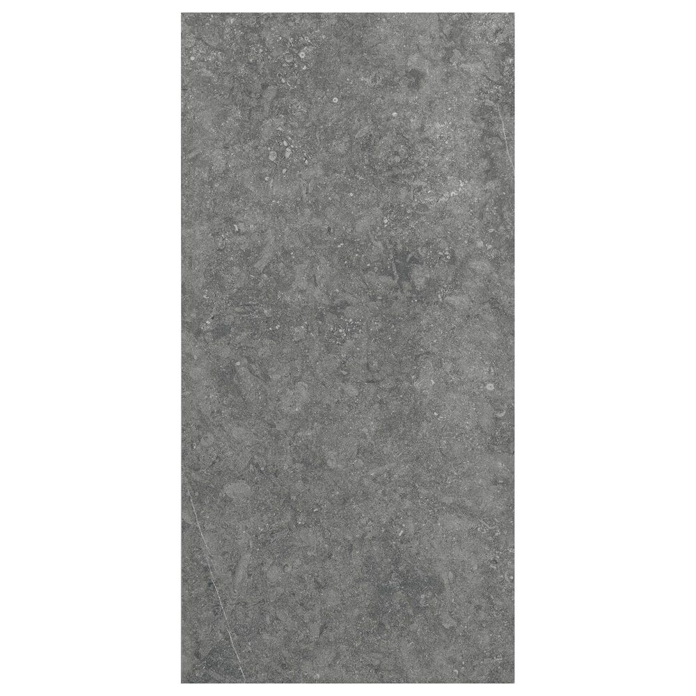Dal-Tile Diplomacy Light Grey 12" x 24" Porcelain Tile, , large